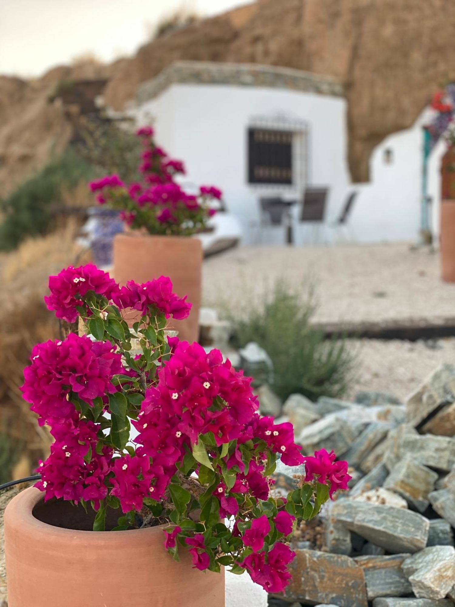 Villa Cuevas Oro Y Arcilla Guadix Esterno foto